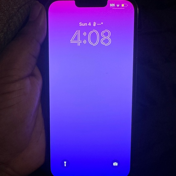 iPhone 13 Pro Max